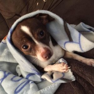 Meet your Posher, Adyson